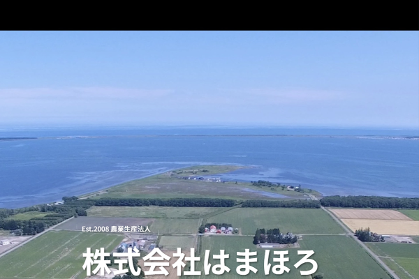 hamahoro webの外観